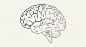 Ilustración de un cerebro humano rodeado de conexiones neuronales con colores suaves, representando la neuropsicología de forma accesible y no intimidante. Pregunta ¿qué es la neuropsicología?